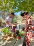 Terrarium mera jangal- סדנת טרריום פרטית