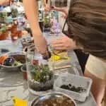 סדנת טרריום סגור בפסח!