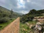 שביל ישראל: חורבת חנות עד נתיב הל"ה
