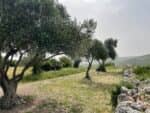 שביל ישראל: נתיב הל"ה עד שריגים
