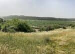 שביל ישראל: נתיב הל"ה עד שריגים