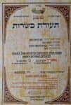 סדנה וארוחה – פסטה טרייה עם שף דניאל רגבי | כשר חלבי