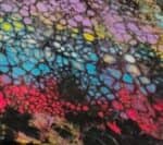 סדנת ציור אקריליק פורינג עם רקפת – אמנות FLUIDART