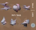 יש לך כנפי רוח- סדנת תנועה ומיינדפול דאנס