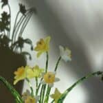 סדנת יצירה – עציצים מחרוזים 🌿