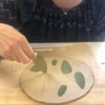 סדנת קרמיקה הטבעת חותמות צמחים ושלל טקסטורות