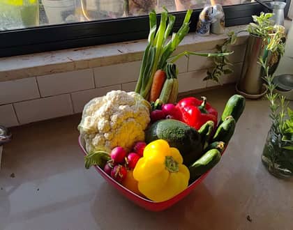 סדנת wellness – מיני ריטריט