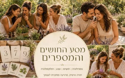 מסע החושים ומספרים – כולל טיפול רפלקסולוגי אישי