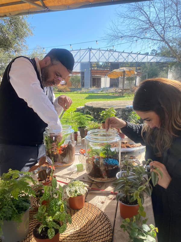 Terrarium mera jangal- סדנת טרריום פרטית