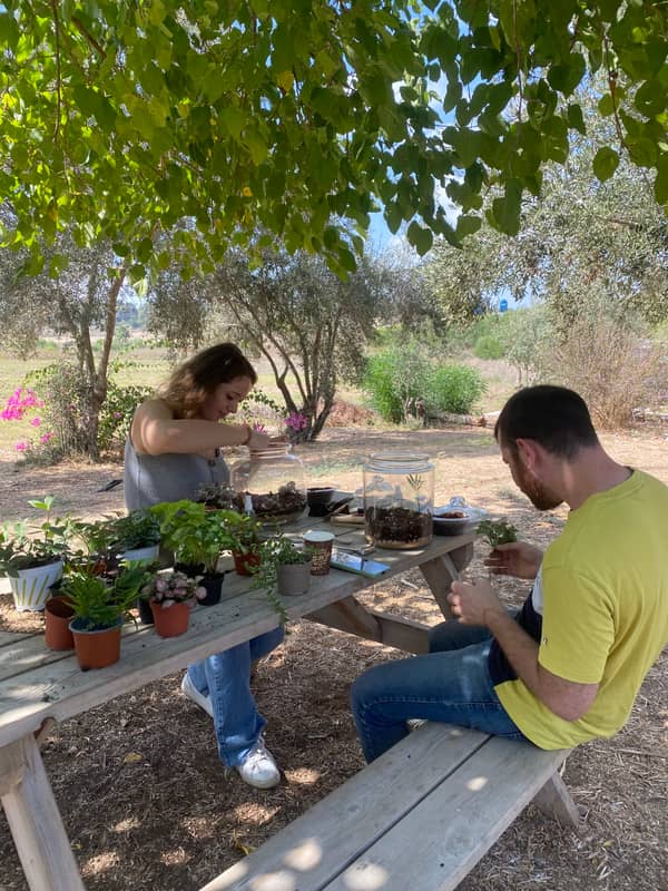 Terrarium mera jangal- סדנת טרריום פרטית