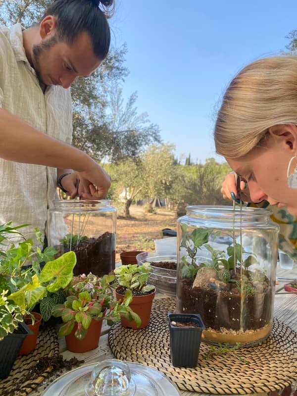 Terrarium mera jangal- סדנת טרריום פרטית