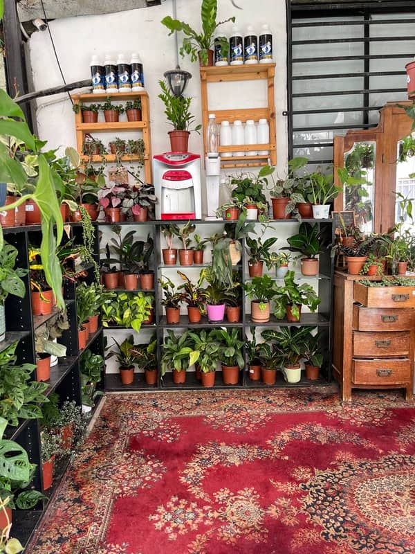 סדנת פיסול זוגית ליום האהבה בגן קסום כולל יין גבינות ומטעמים