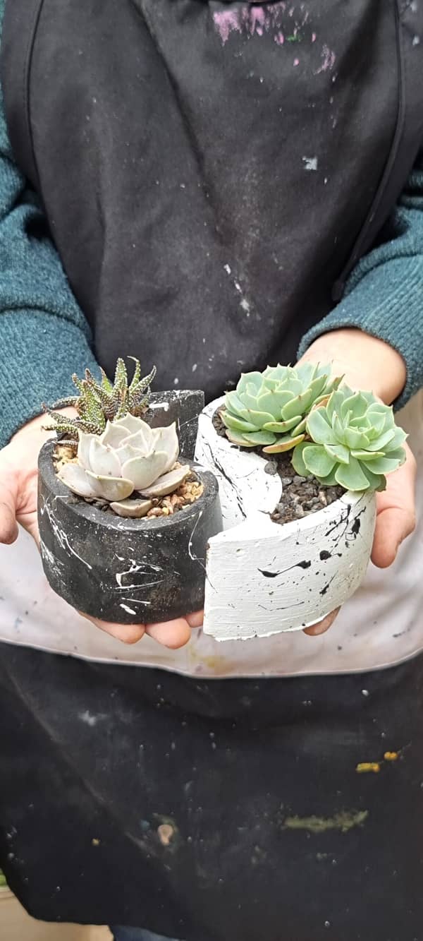 סדנת יצירה בבטון וצמחיה עמידה