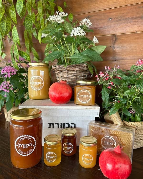 סיור טעימות דבש