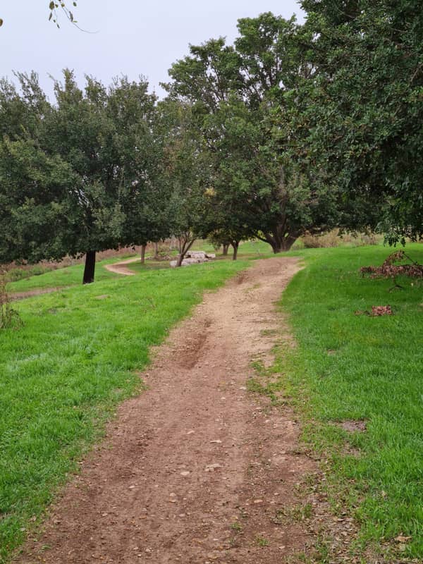 סדנת שמרים מסביב לעולם