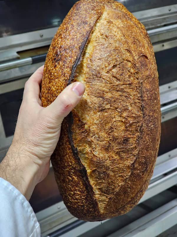 סדנת לחם מחמצת וארוחה