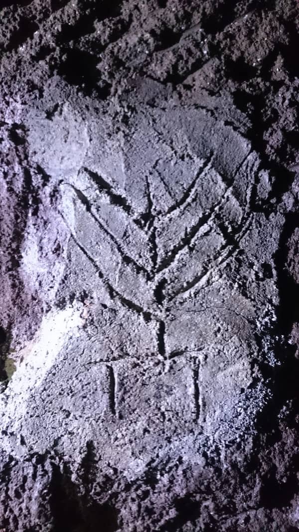 הקטקומבות היהודיות ברומא