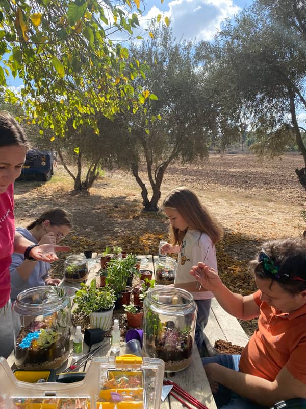 Terrarium mera jangal- סדנת טרריום פרטית