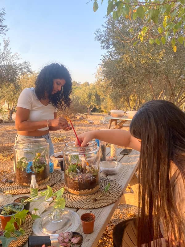 Terrarium mera jangal- סדנת טרריום פרטית