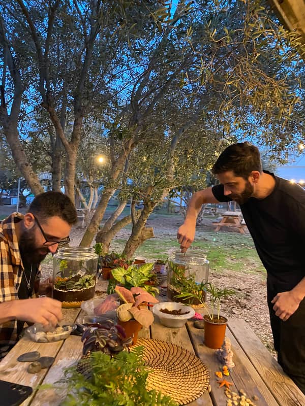 Terrarium mera jangal- סדנת טרריום פרטית