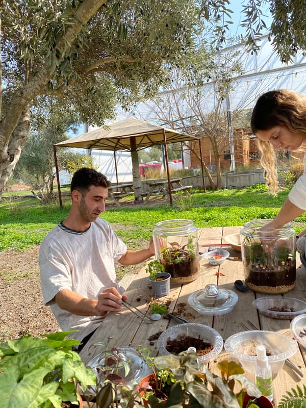 Terrarium mera jangal- סדנת טרריום פרטית