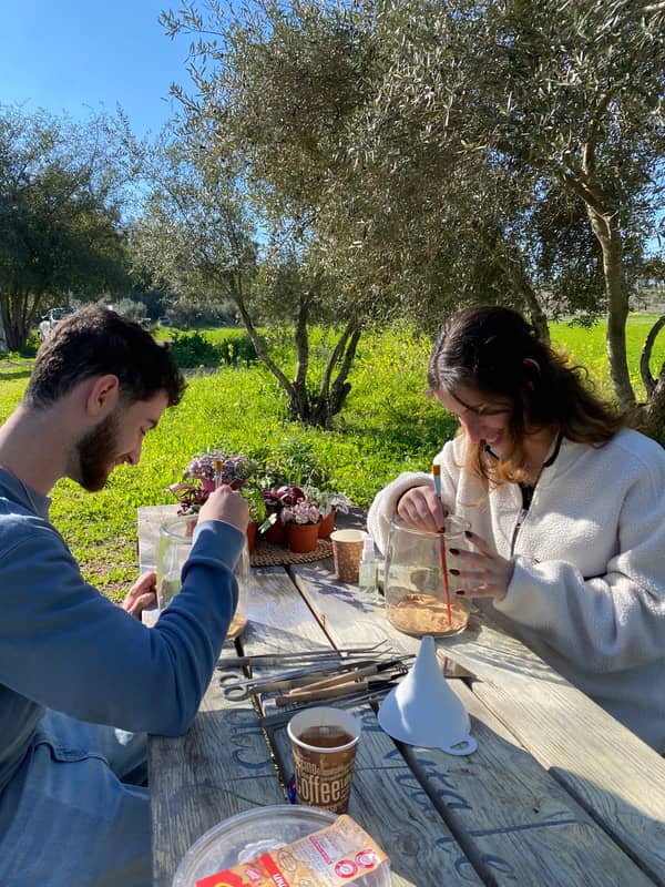 Terrarium mera jangal- סדנת טרריום פרטית