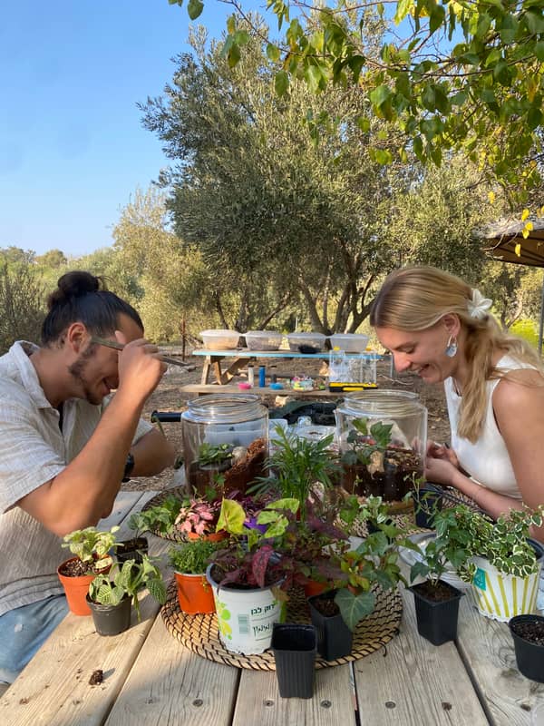 Terrarium mera jangal- סדנת טרריום פרטית