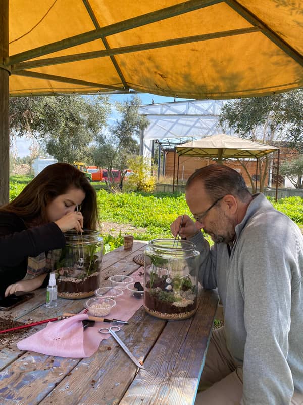 Terrarium mera jangal- סדנת טרריום פרטית