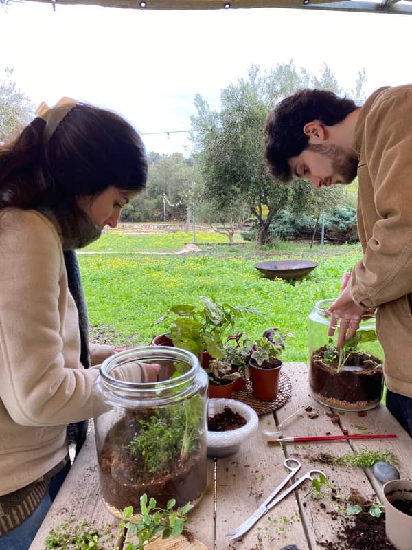 Terrarium mera jangal- סדנת טרריום פרטית