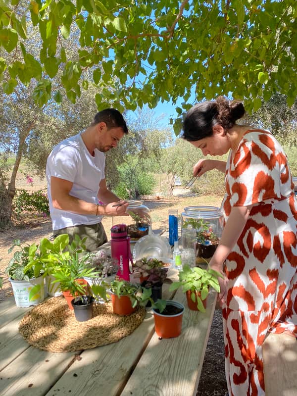 Terrarium mera jangal- סדנת טרריום פרטית