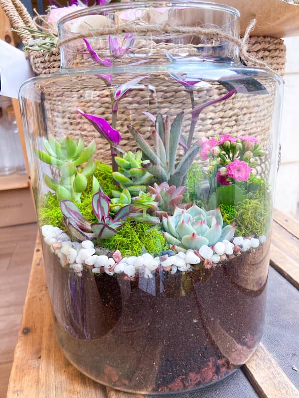 סדנת טרריום פרטית