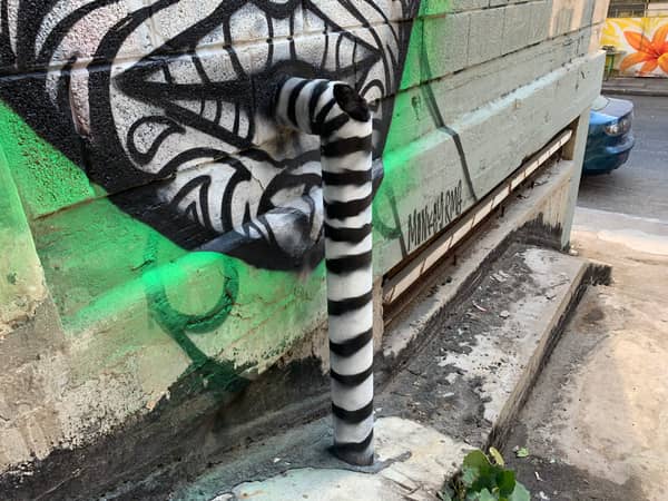 הדרכה מובטחת של אורה צכנוביץ כולל מפגש עם אמן בסטודיו
