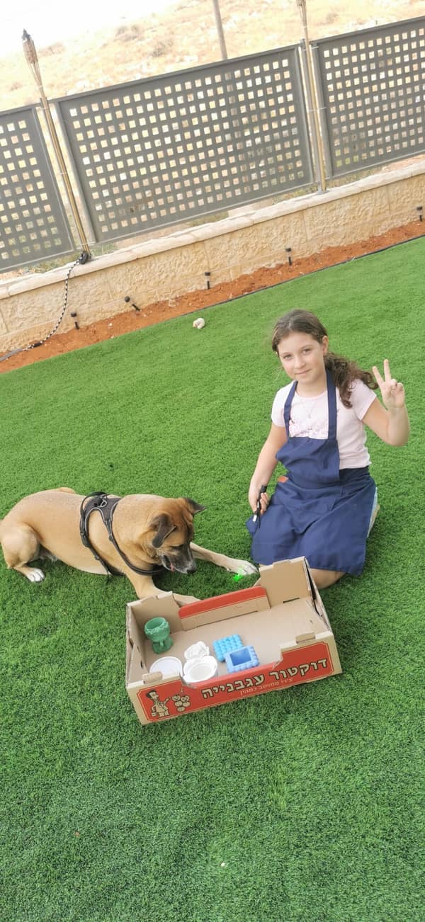סדנת בטון וטרצו