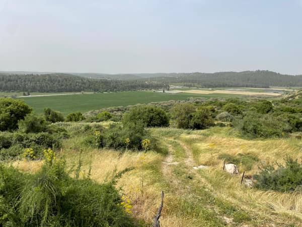 שביל ישראל: נתיב הל"ה עד שריגים