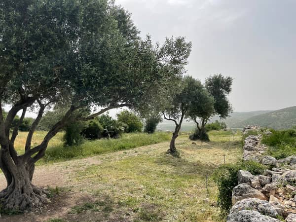 שביל ישראל: נתיב הל"ה עד שריגים