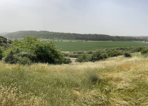 שביל ישראל: נתיב הל"ה עד שריגים