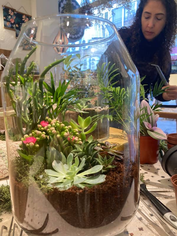 סדנת טרריום פרטית