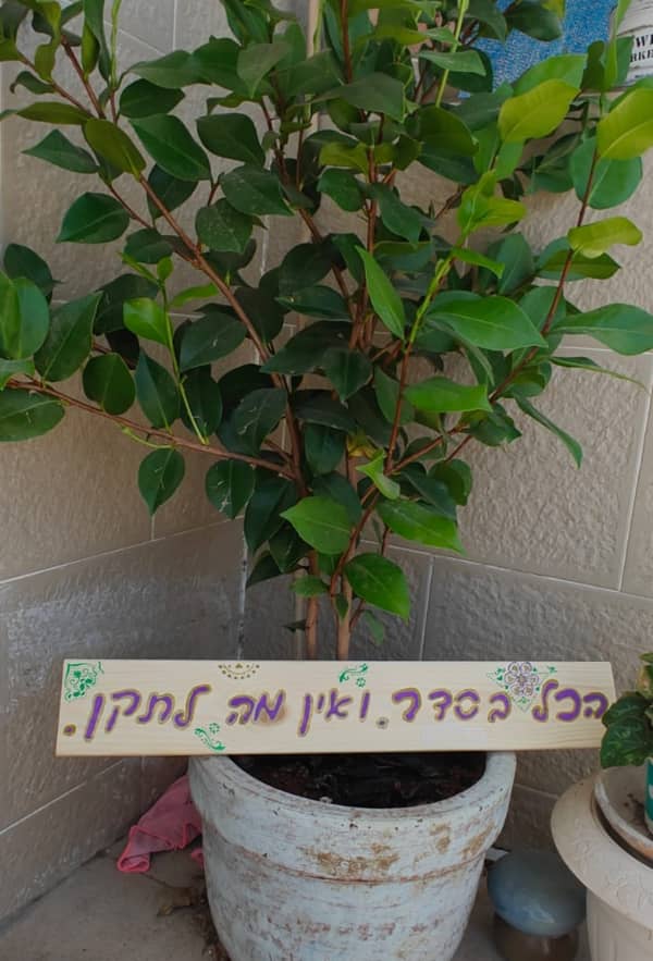 יצירה שמדברת – מסר אישי בעיצוב ייחודי