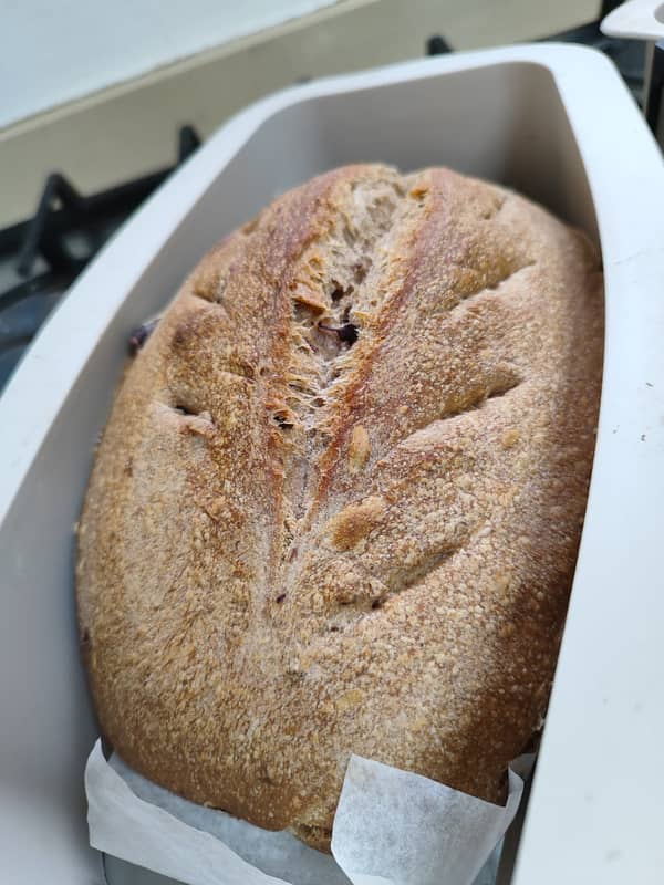 סדנת מחמצת