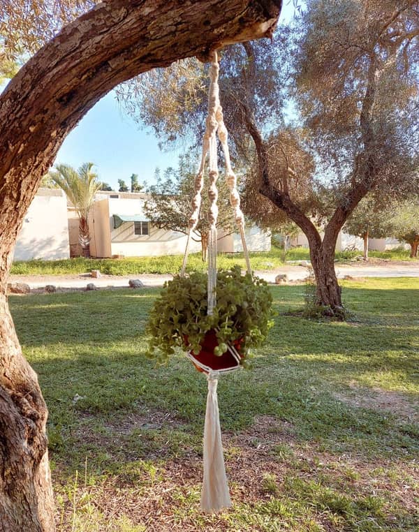 סדנת מקרמה – מתלה לעציץ