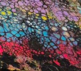סדנת ציור אקריליק פורינג עם רקפת – אמנות FLUIDART