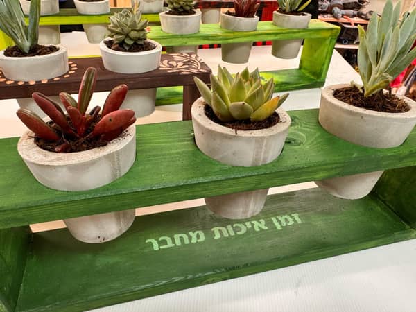 סדנת נגרות ובטון: 3 עציצי בטון על סטנד מעץ