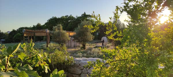 סיור מודרך בגן הארכיאולוגי כפר סבא בחול המועד