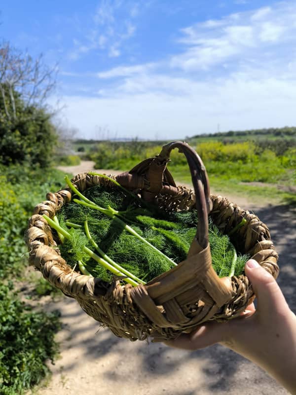 סדנת קליעה מחומרים טבעיים