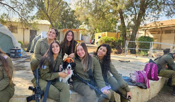 סדנת גיבוש והפוגה בשיתוף כלבים