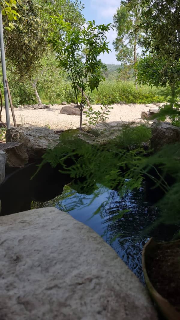 סדנת קרמיקה פרטית בעבודה על אובניים במקום פסטורלי ומיוחד!