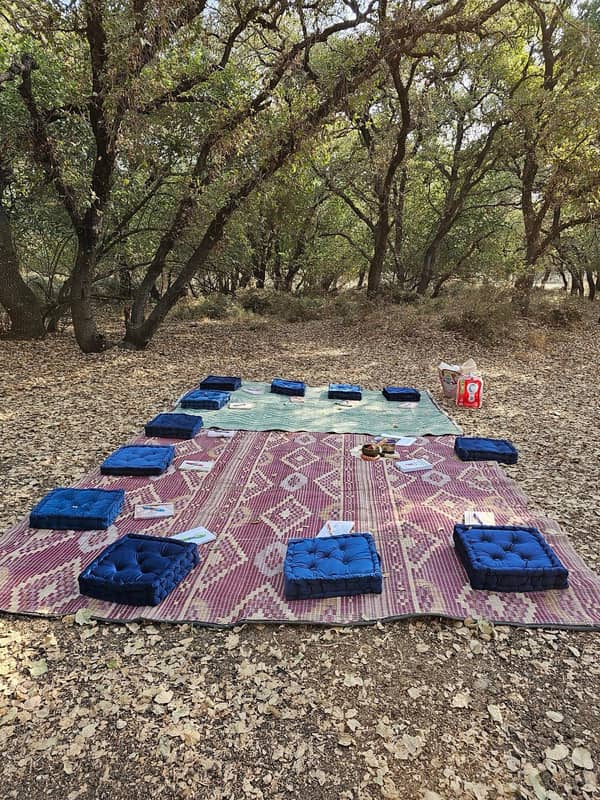 ריטריט מקלחת יער