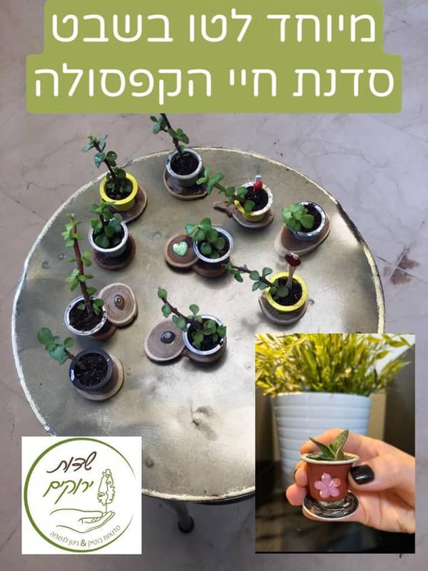 סדנת חיי הקפסולה- סדנת מחזור ויצירת עציץ מיניאטורי