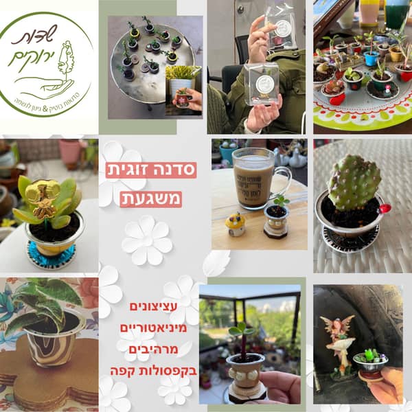 סדנת חיי הקפסולה- סדנת מחזור ויצירת עציץ מיניאטורי