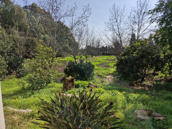 סדנת ציור אינטואיטיבי פרטית – ללכת עם הלב אל הלא נודע